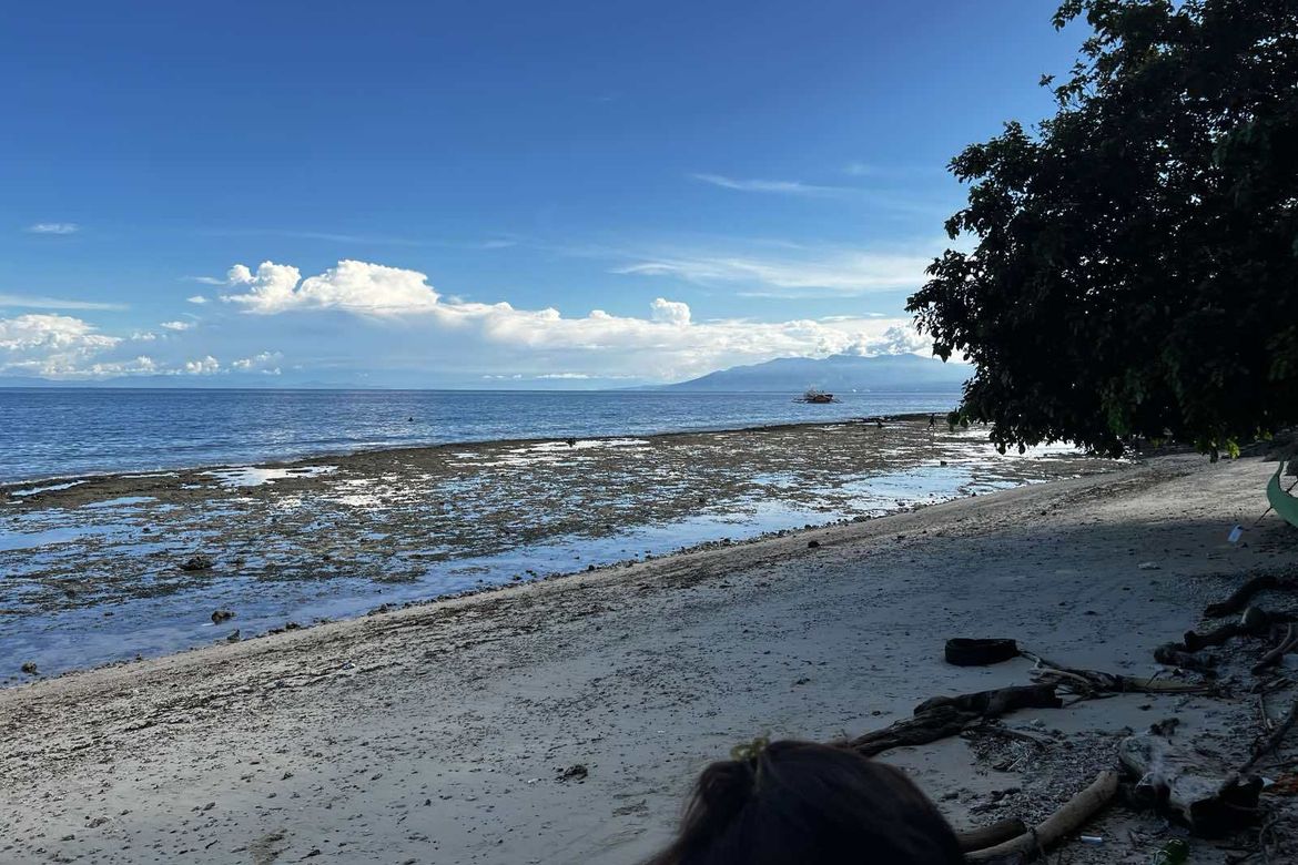 Land for Sale in Catagman, Samal, Davao del Norte – photo 4