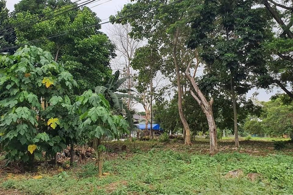 Land for Sale in Catalunan Grande, Davao City, Davao del Sur – photo 2