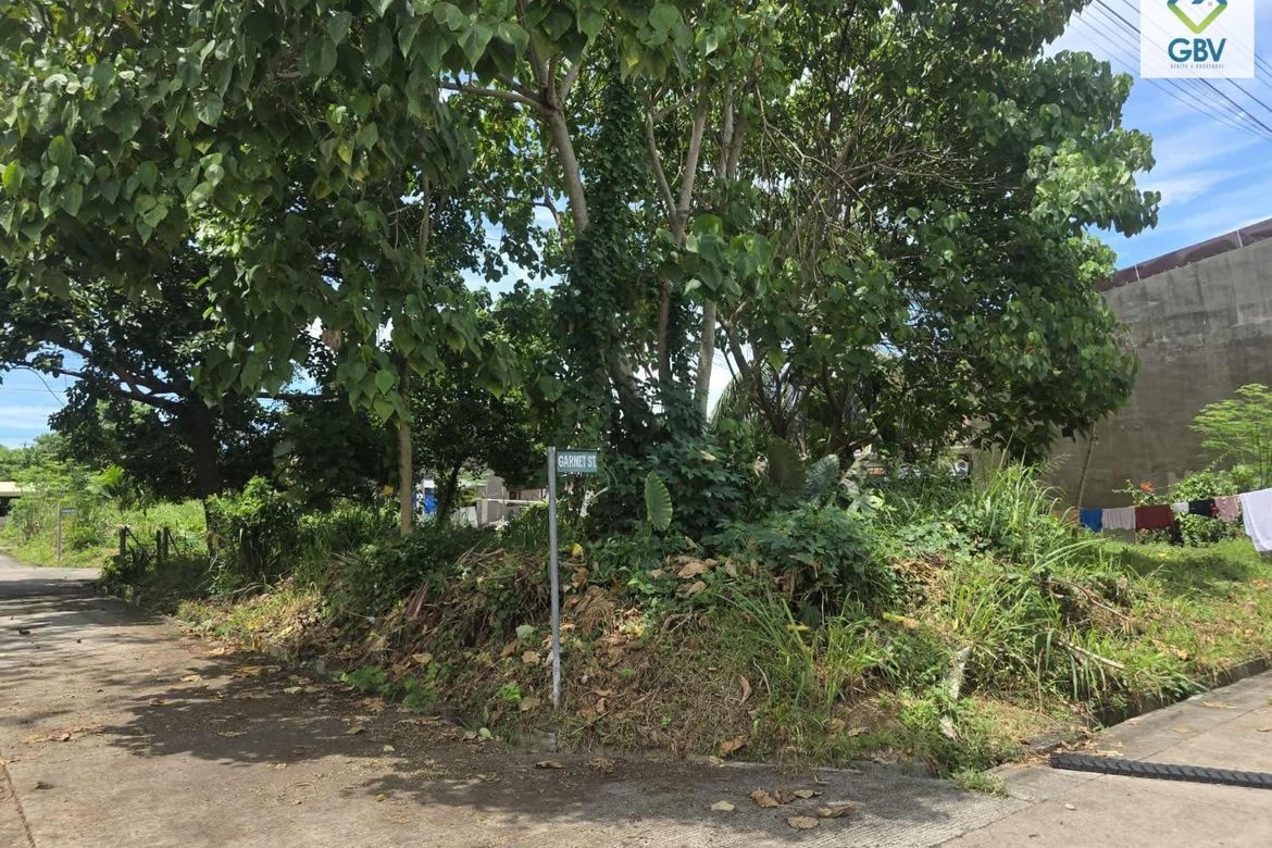 Land for Sale in Catalunan Grande, Davao City, Davao del Sur