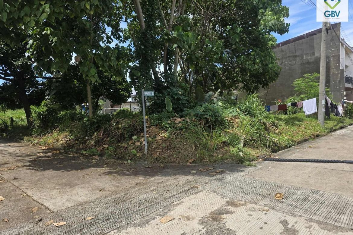 Land for Sale in Catalunan Grande, Davao City, Davao del Sur – photo 2