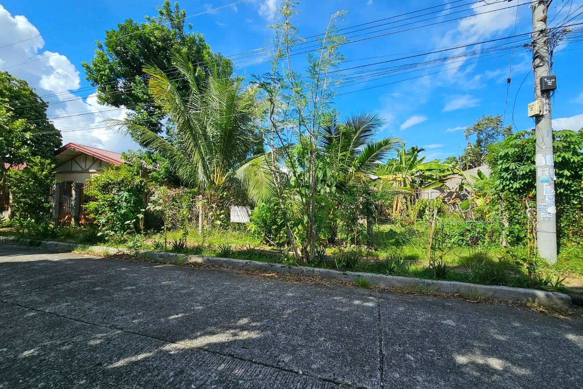Land for Sale in Catalunan Grande, Davao City, Davao del Sur – photo 2