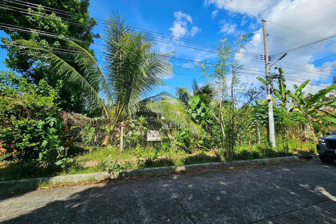 Land for Sale in Catalunan Grande, Davao City, Davao del Sur – photo 5