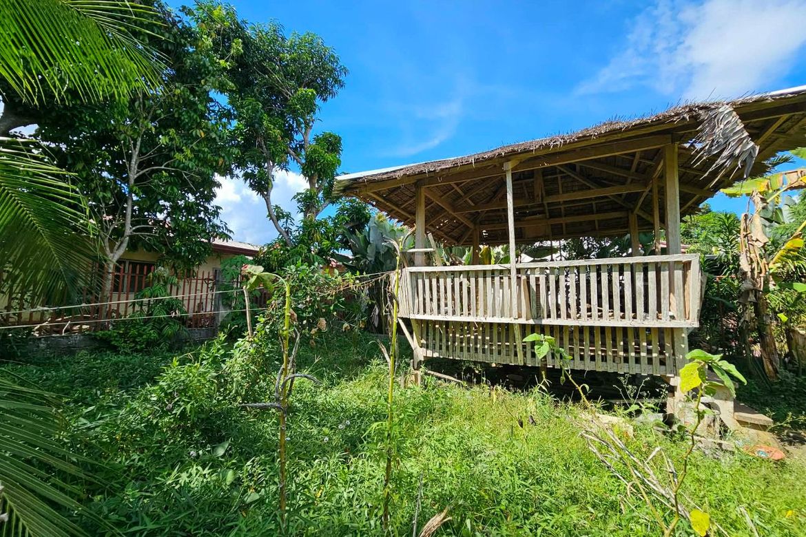 Land for Sale in Catalunan Grande, Davao City, Davao del Sur – photo 6