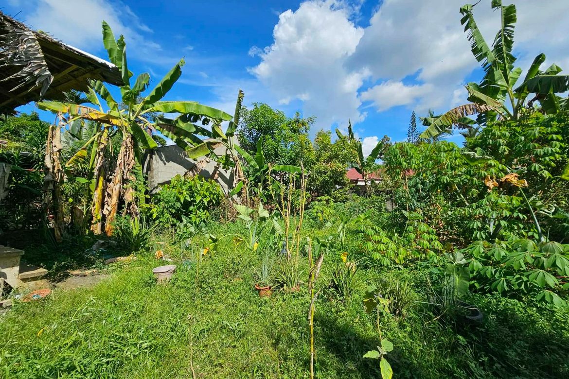 Land for Sale in Catalunan Grande, Davao City, Davao del Sur – photo 7