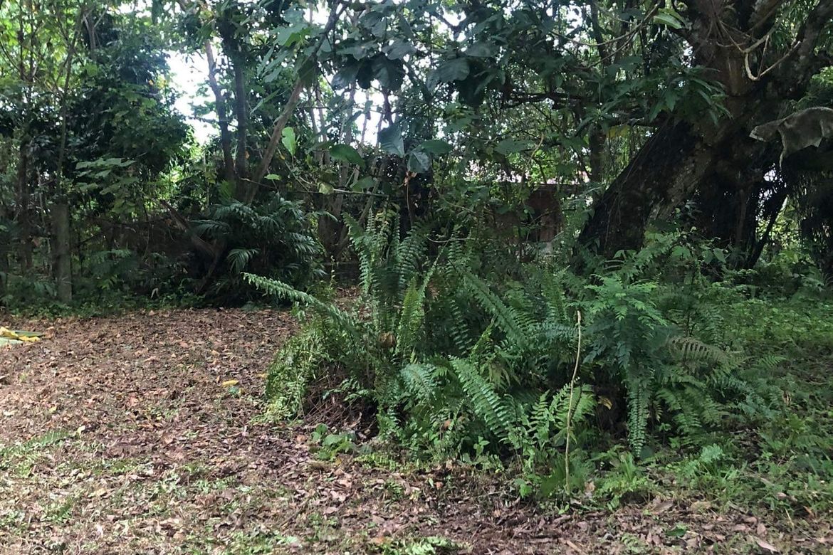 Land for Sale in Catalunan Pequeño, Davao City, Davao del Sur – photo 5