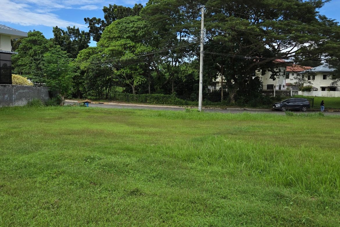 Land for Sale in Catalunan Pequeño, Davao City, Davao del Sur – photo 4