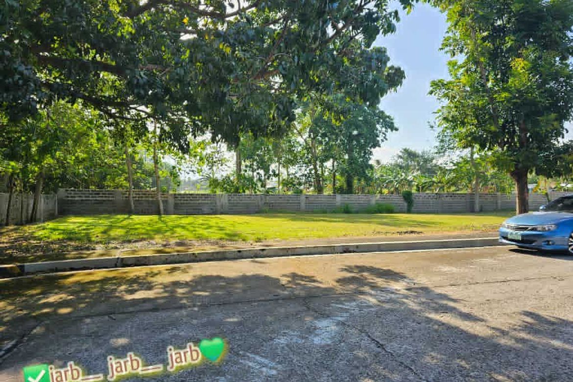 Land for Sale in Catalunan Pequeño, Davao City, Davao del Sur – photo 2