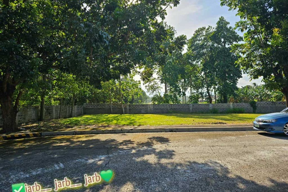 Land for Sale in Catalunan Pequeño, Davao City, Davao del Sur – photo 4