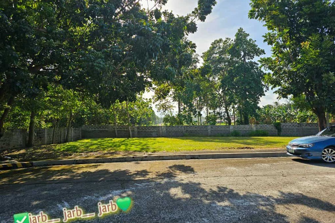 Land for Sale in Catalunan Pequeño, Davao City, Davao del Sur – photo 5