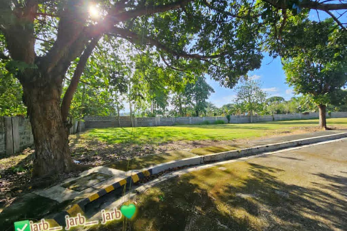 Land for Sale in Catalunan Pequeño, Davao City, Davao del Sur – photo 7