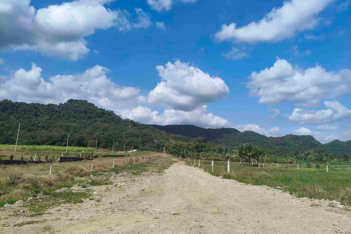 Land for Sale in Catandaan, Nasugbu, Batangas – photo 4