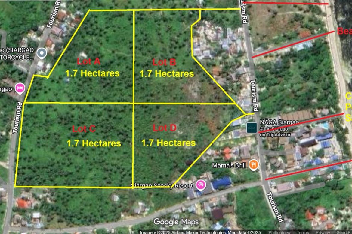 Land for Sale in Catangnan, General Luna, Surigao del Norte