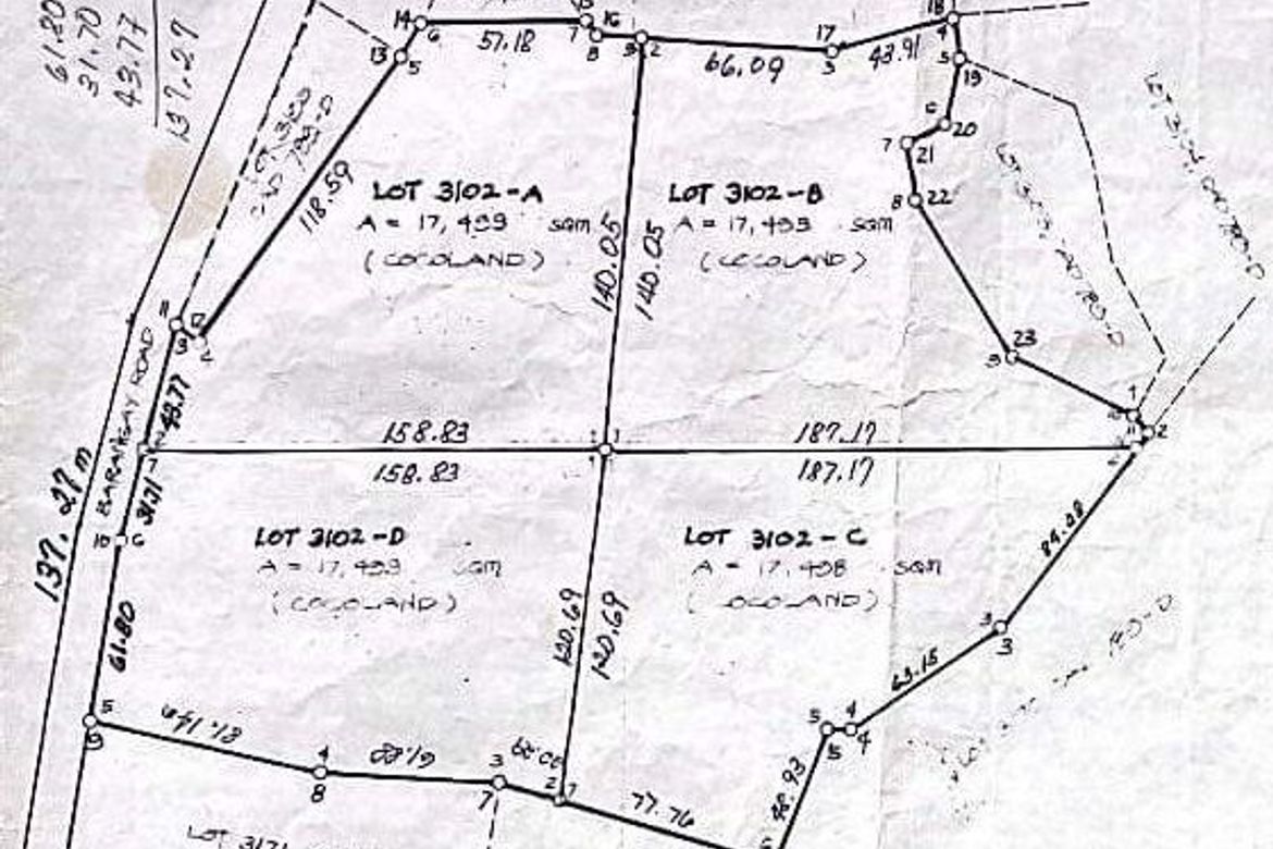 Land for Sale in Catangnan, General Luna, Surigao del Norte – photo 2