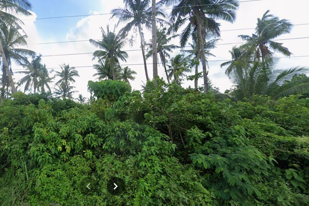 Land for Sale in Catangnan, General Luna, Surigao del Norte – photo 5