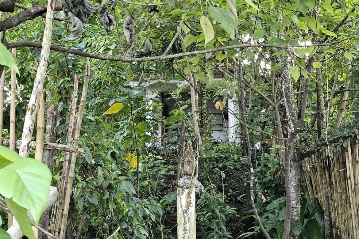Land for Sale in Catangnan, General Luna, Surigao del Norte – photo 6