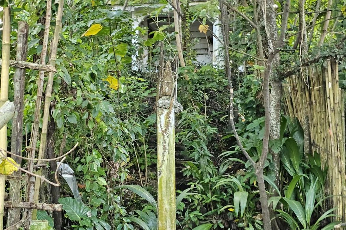 Land for Sale in Catangnan, General Luna, Surigao del Norte – photo 8