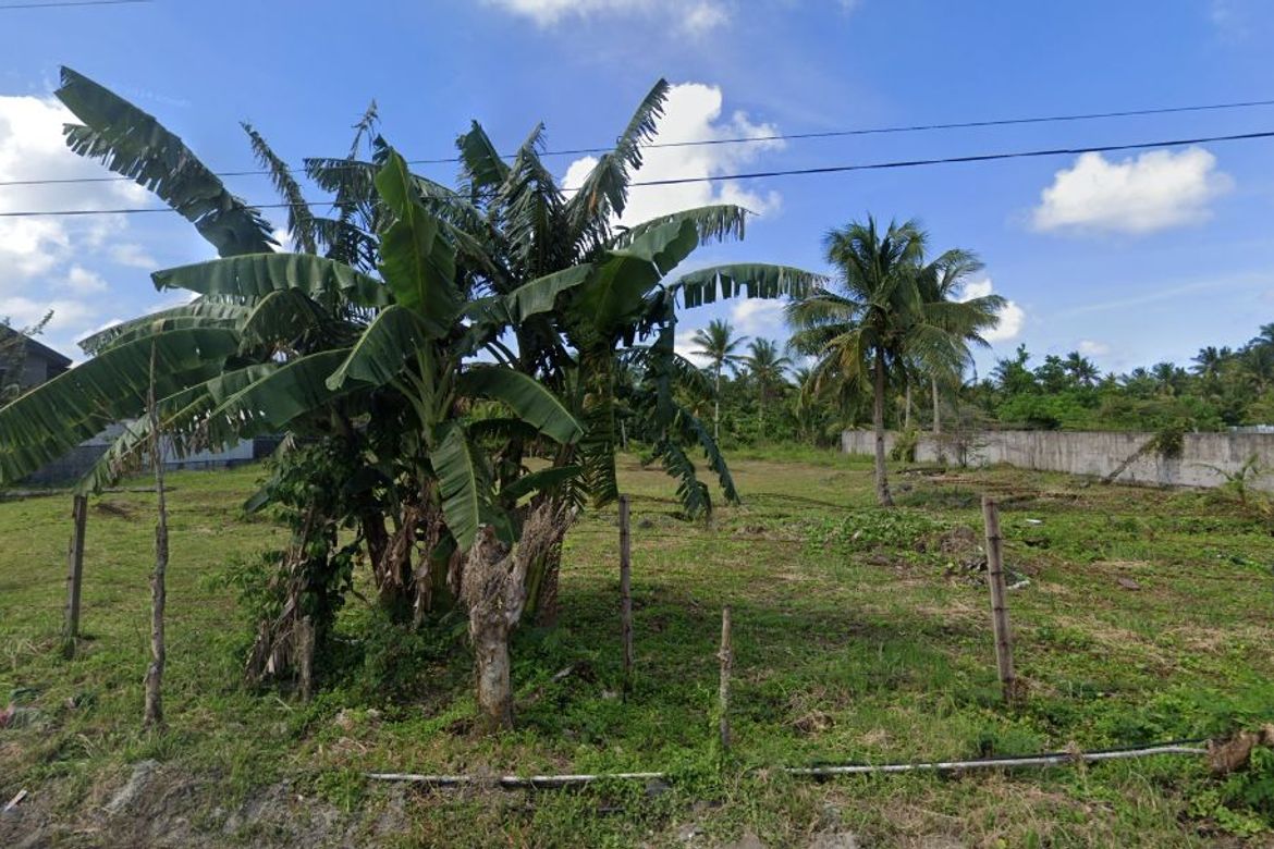 Land for Sale in Catangnan, General Luna, Surigao del Norte – photo 4