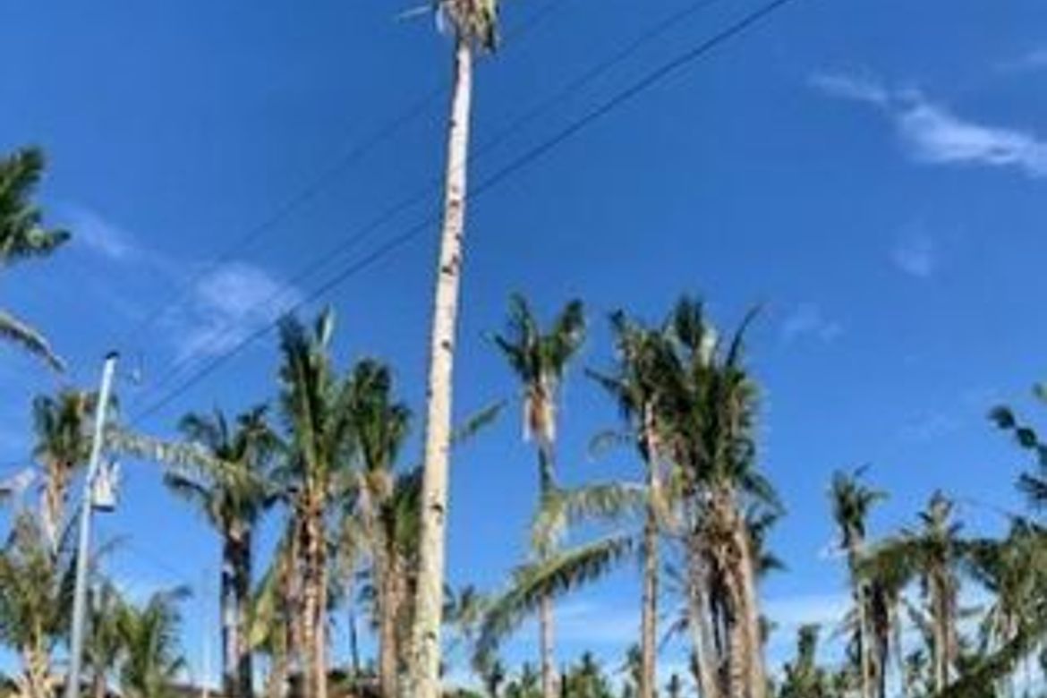Land for Sale in Catangnan, General Luna, Surigao del Norte – photo 4