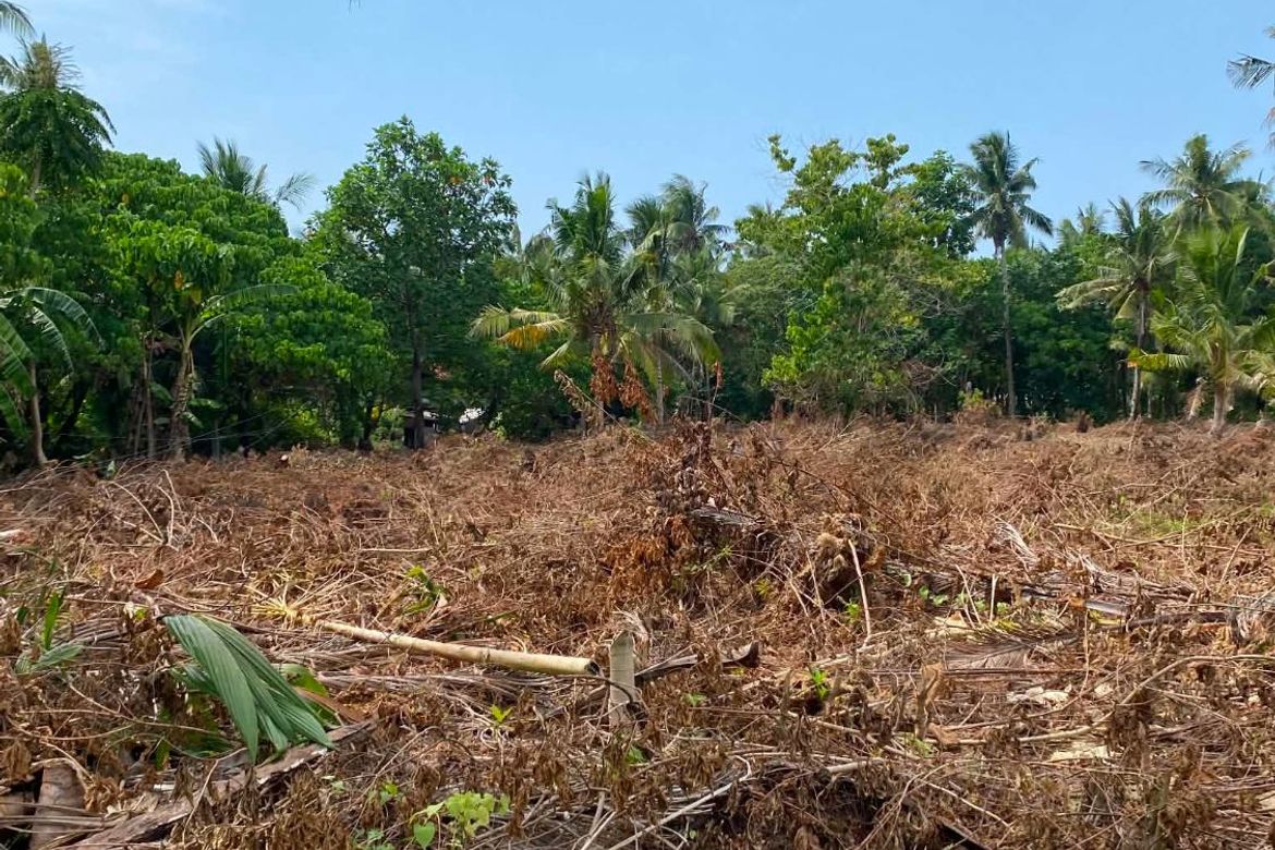 Land for Sale in Catangnan, General Luna, Surigao del Norte – photo 4