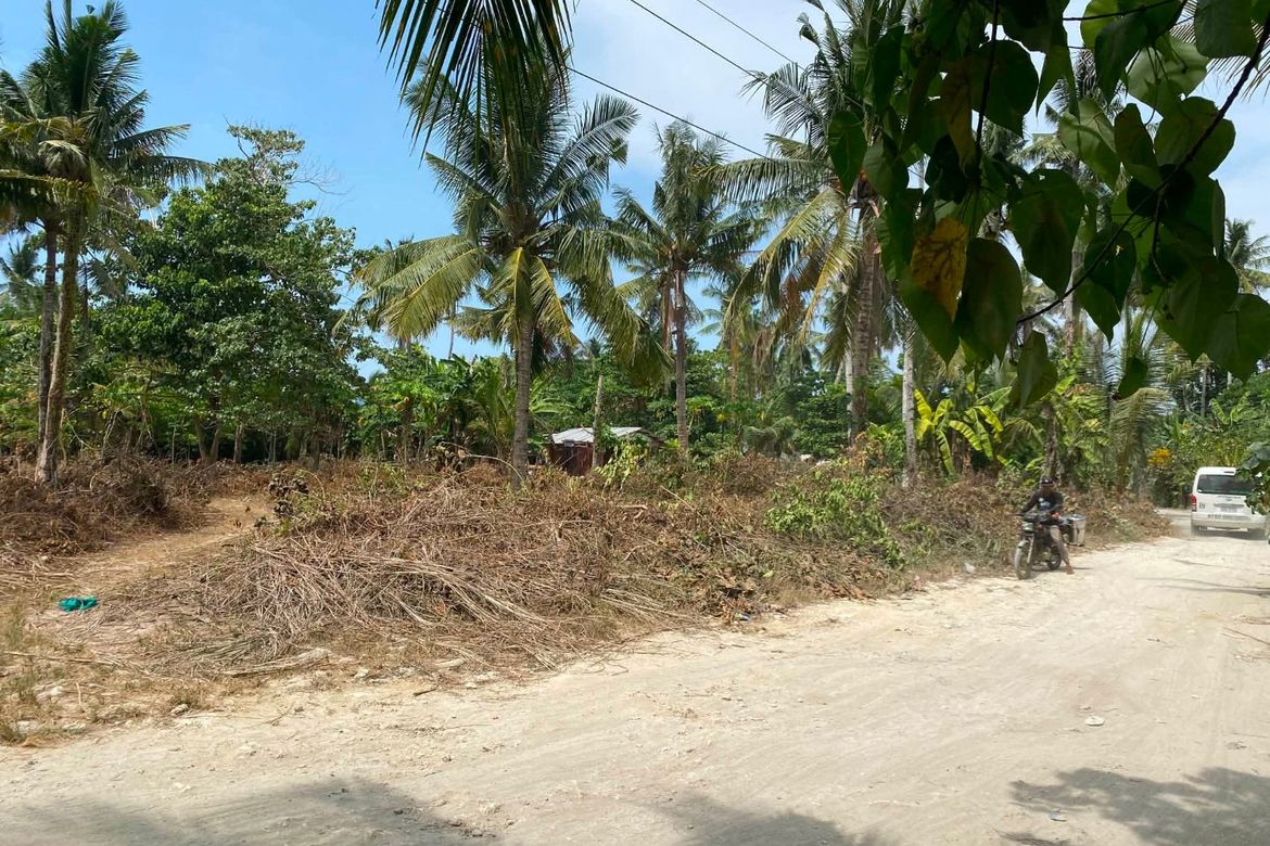 Land for Sale in Catangnan, General Luna, Surigao del Norte – photo 5