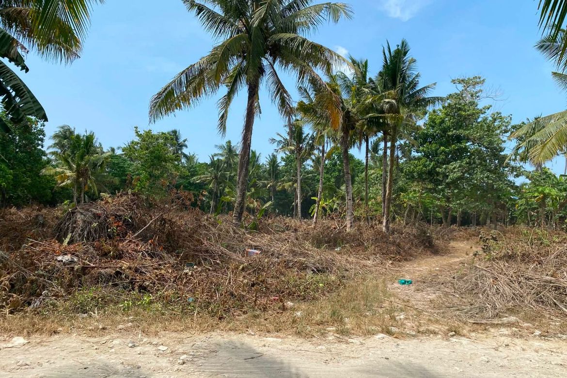Land for Sale in Catangnan, General Luna, Surigao del Norte – photo 7