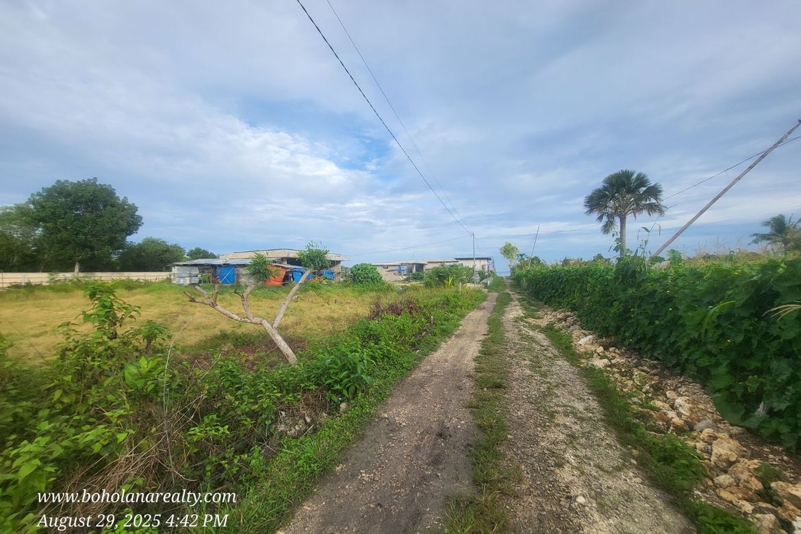 Land for Sale in Catarman, Dauis, Bohol