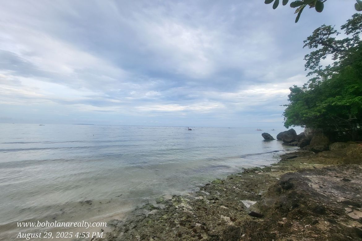 Land for Sale in Catarman, Dauis, Bohol – photo 8