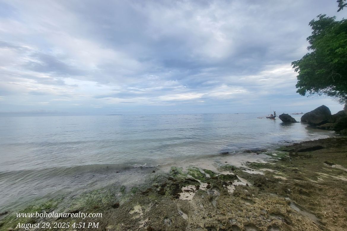 Land for Sale in Catarman, Dauis, Bohol