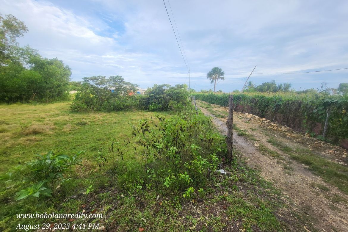 Land for Sale in Catarman, Dauis, Bohol – photo 2
