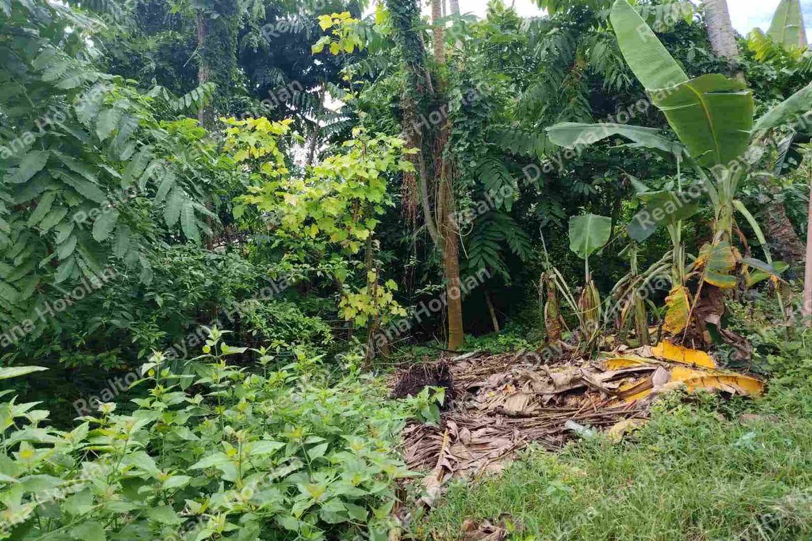 Land for Sale in Catarman, Dauis, Bohol – photo 2
