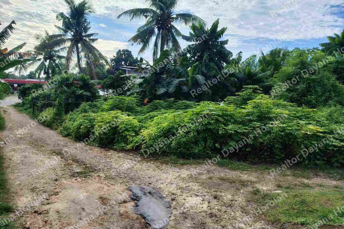 Land for Sale in Catarman, Dauis, Bohol – photo 4