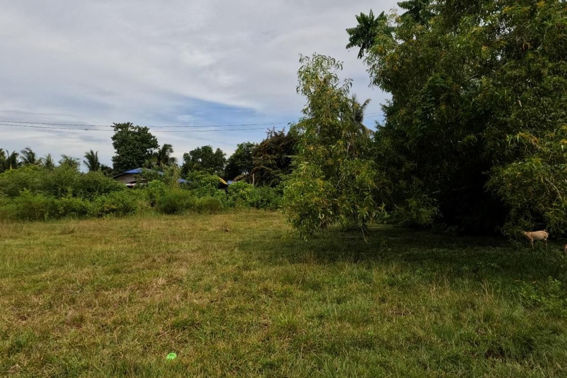 Land for Sale in Catarman, Dauis, Bohol – photo 3