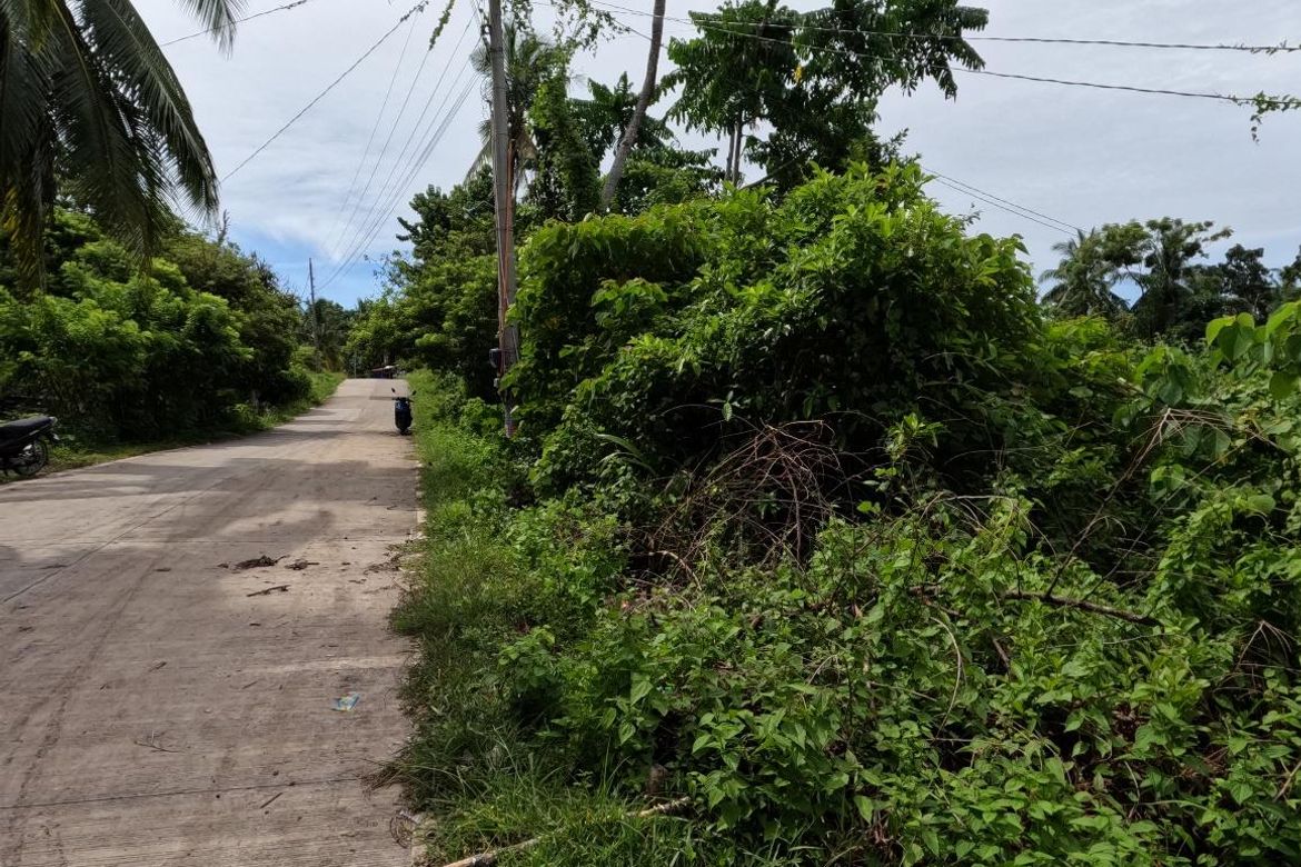 Land for Sale in Catarman, Dauis, Bohol – photo 4
