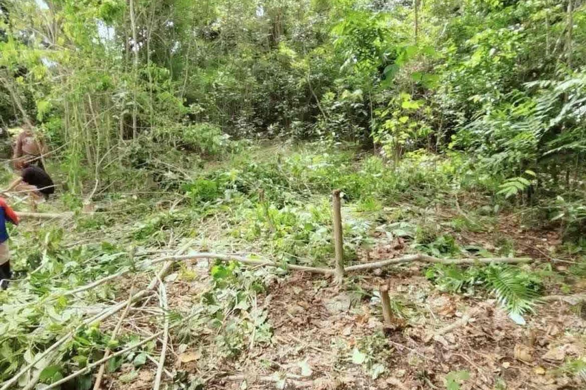 Land for Sale in Catarman, Dauis, Bohol