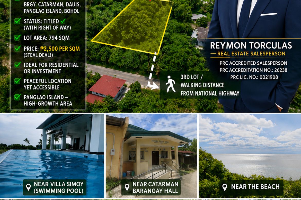 Land for Sale in Catarman, Dauis, Bohol – photo 2