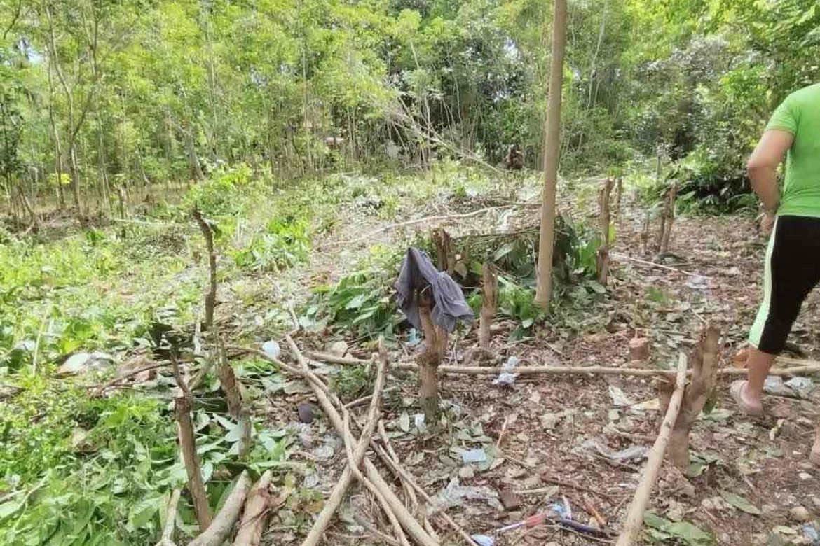 Land for Sale in Catarman, Dauis, Bohol – photo 6