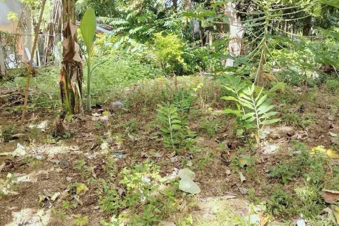 Land for Sale in Catarman, Dauis, Bohol – photo 8