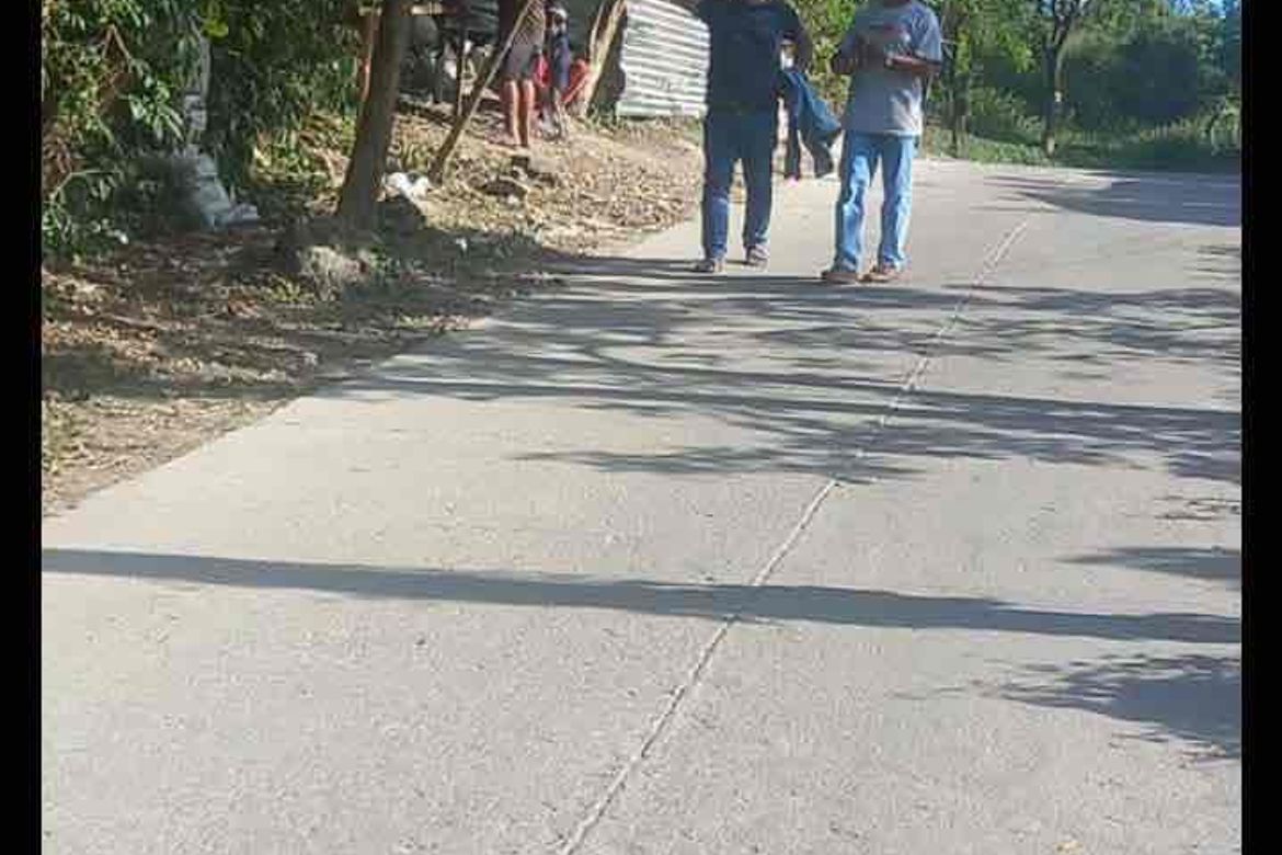 Land for Sale in Catarman, Liloan, Cebu – photo 4