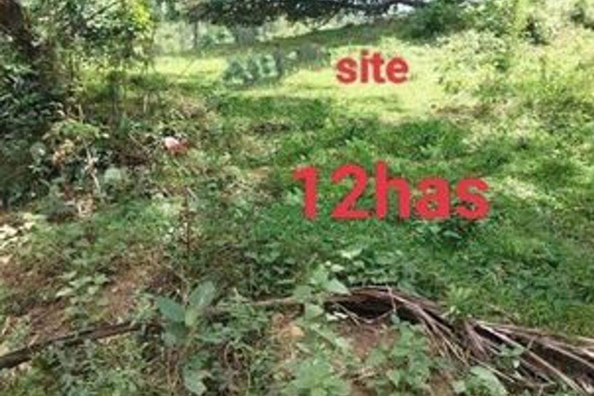 Land for Sale in Catarman, Liloan, Cebu