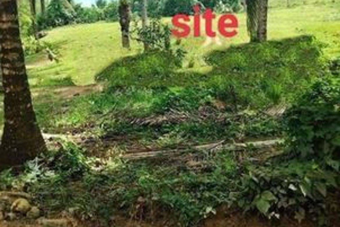 Land for Sale in Catarman, Liloan, Cebu – photo 4