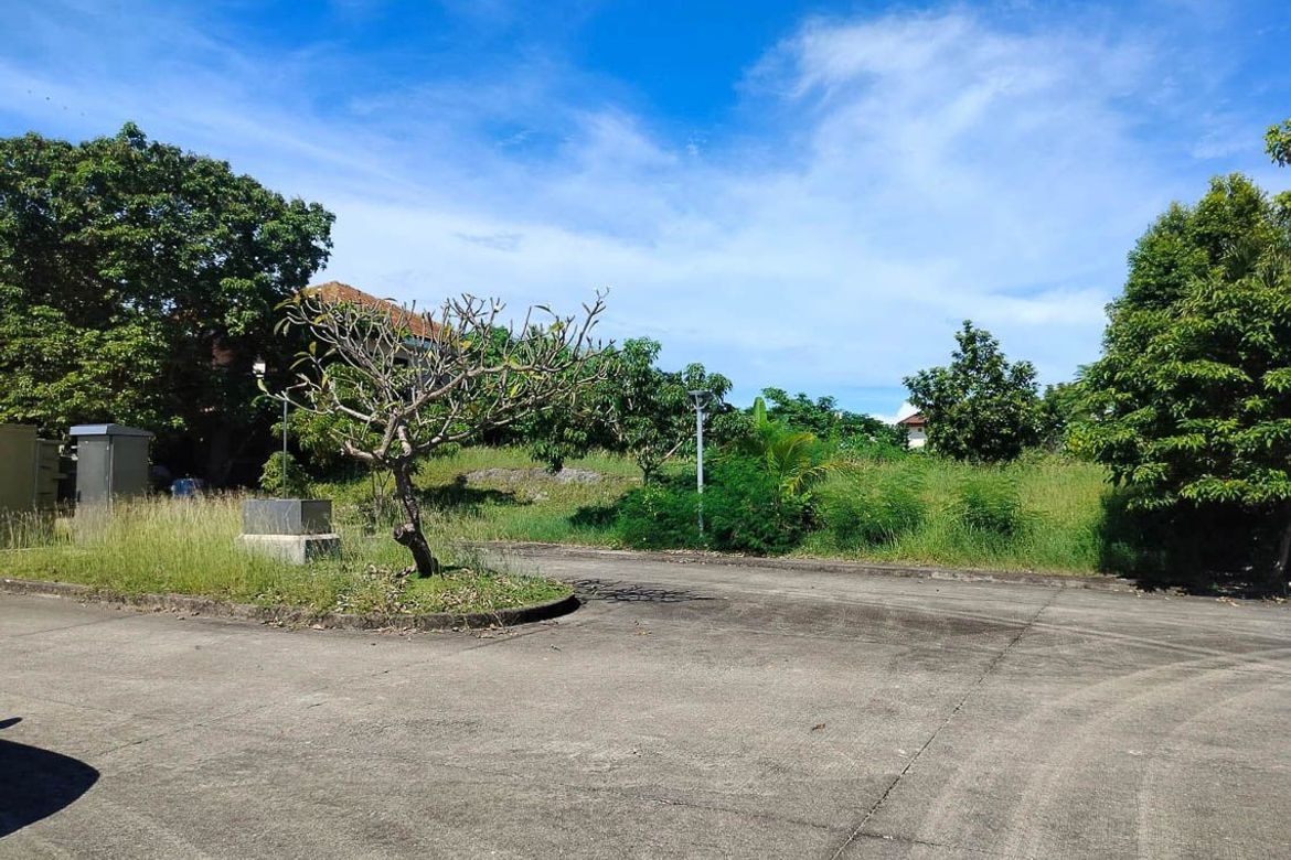 Land for Sale in Catarman, Liloan, Cebu – photo 3