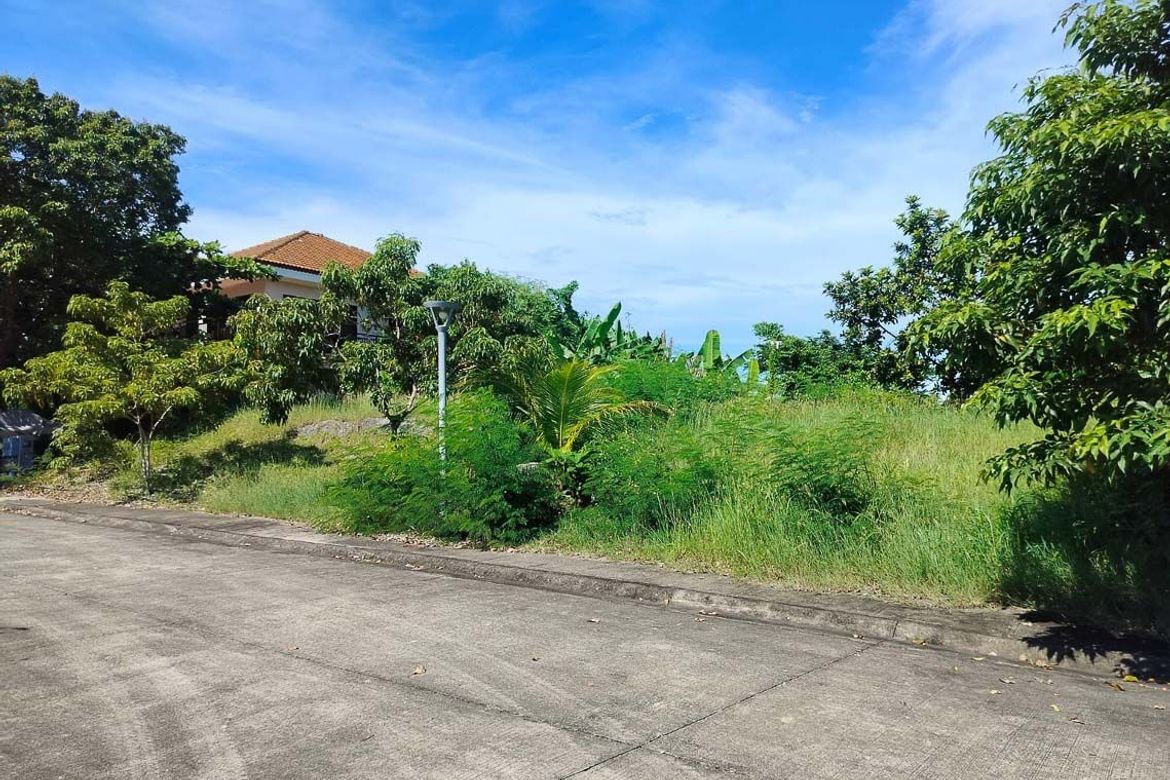 Land for Sale in Catarman, Liloan, Cebu – photo 4