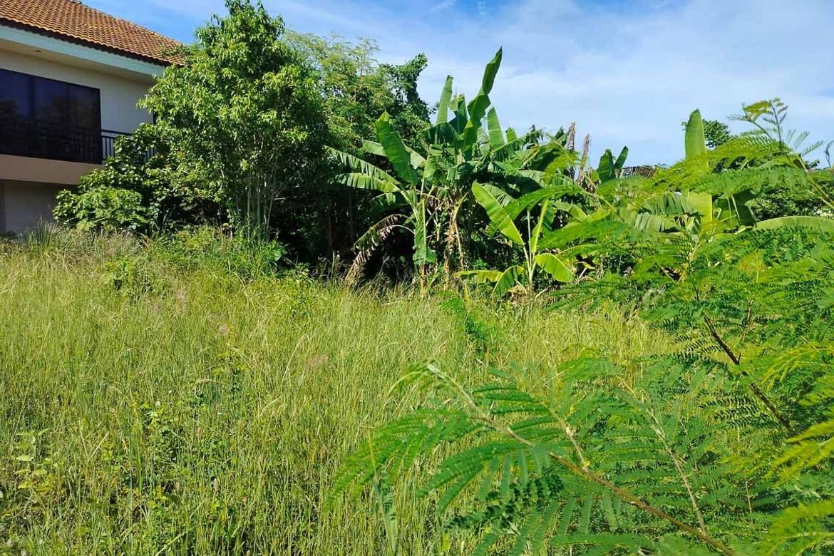 Land for Sale in Catarman, Liloan, Cebu – photo 7