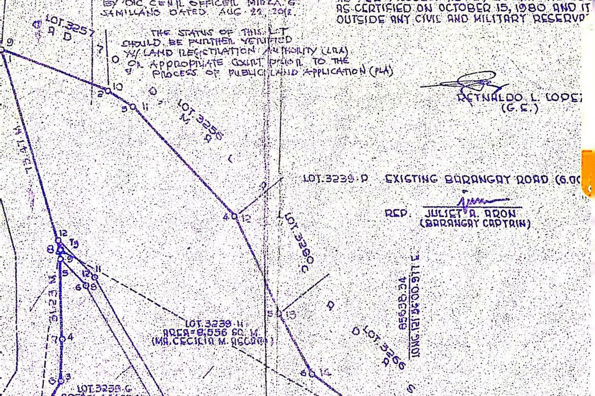 Land for Sale in Caticlan, Malay, Aklan – photo 3