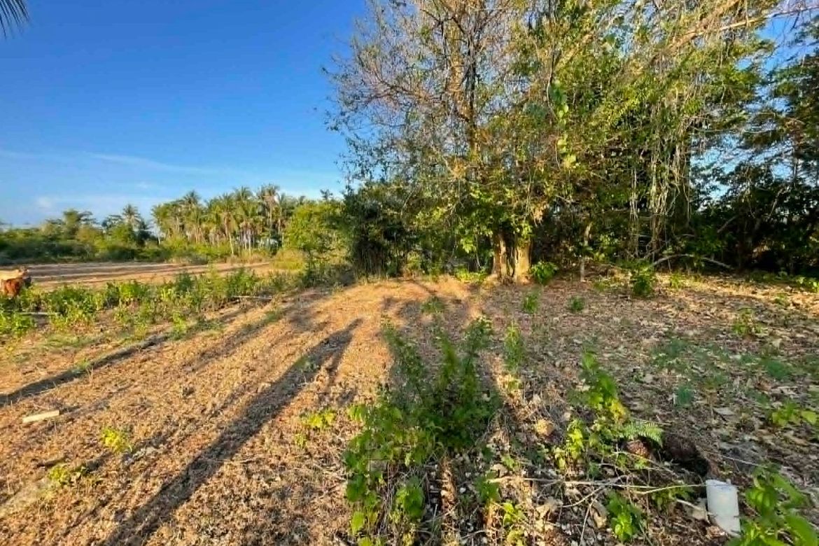 Land for Sale in Caticugan, Siquijor, Siquijor