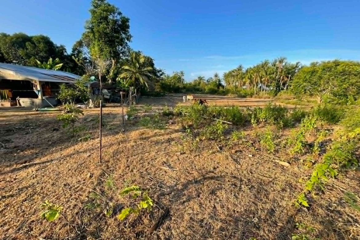 Land for Sale in Caticugan, Siquijor, Siquijor – photo 2