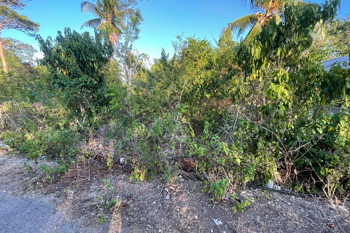 Land for Sale in Caticugan, Siquijor, Siquijor – photo 7