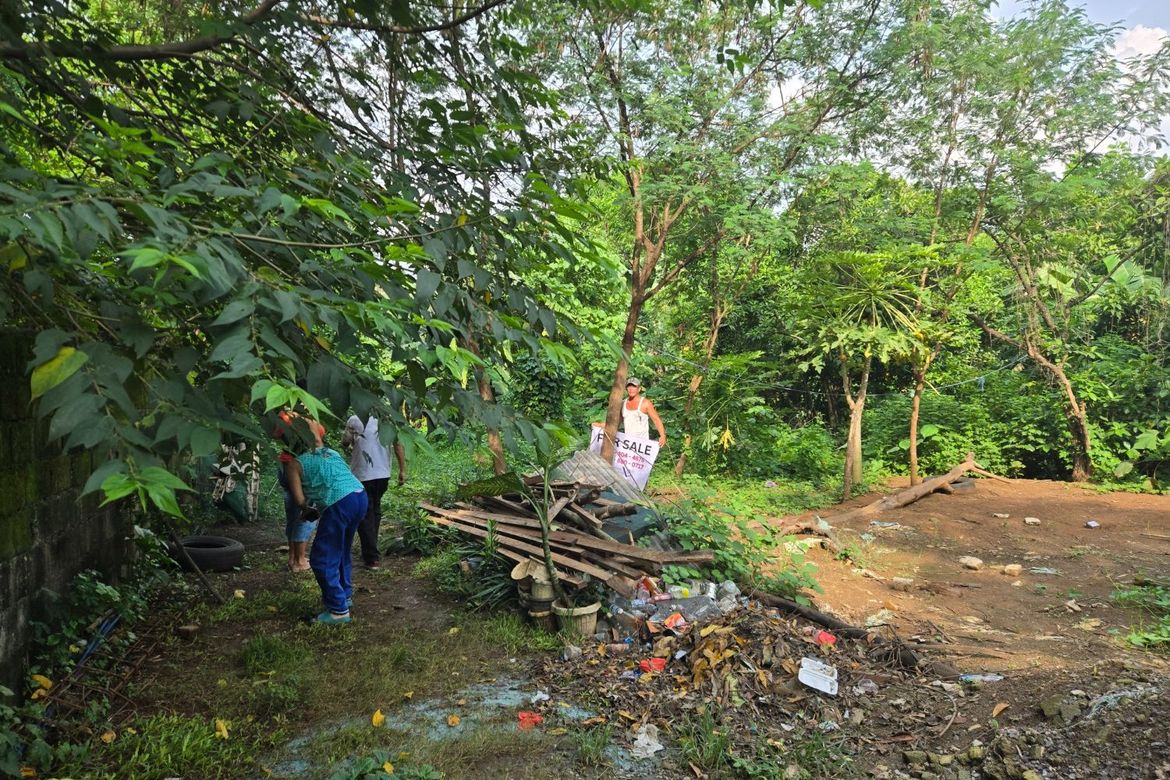 Land for Sale in Catmon, Santa Maria, Bulacan