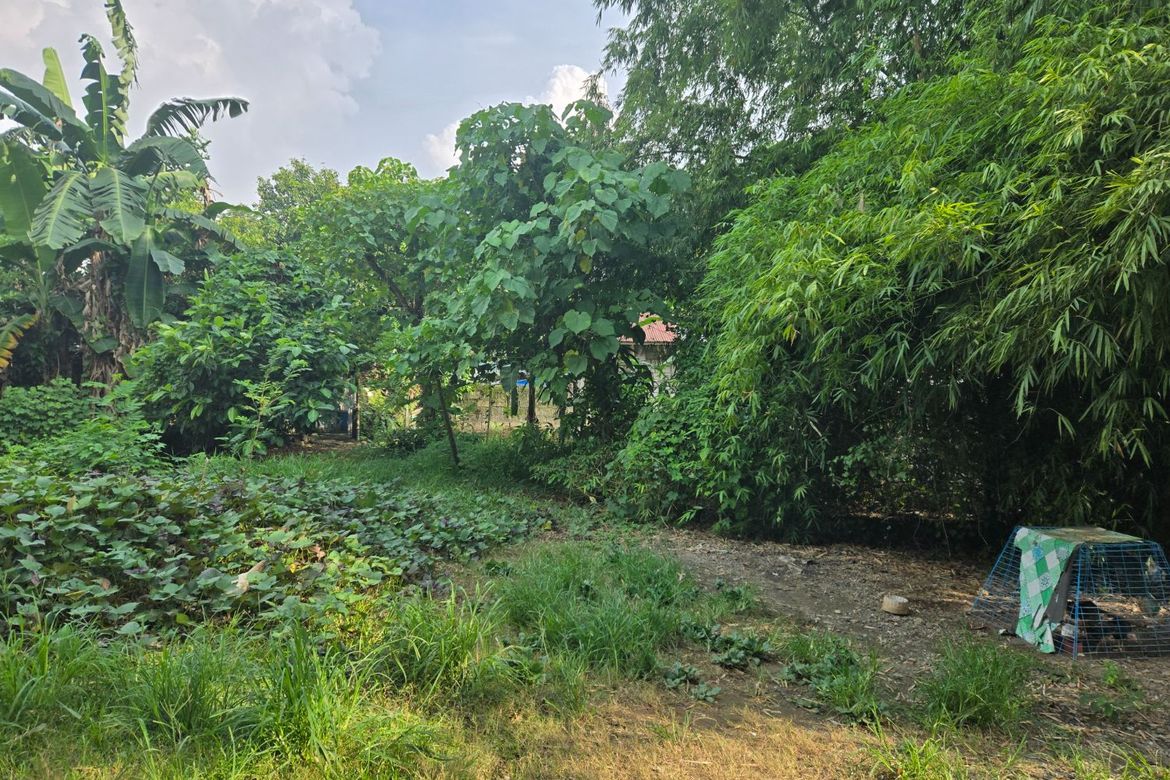 Land for Sale in Catmon, Santa Maria, Bulacan – photo 3