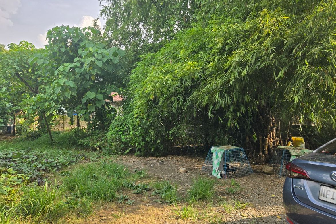 Land for Sale in Catmon, Santa Maria, Bulacan – photo 5